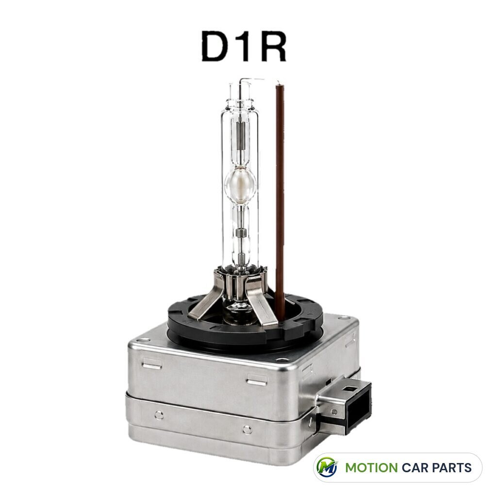 Xenon lights D1R